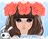 Rose Crown Dark Apricot