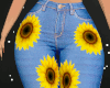 Sunflower Jeans RL