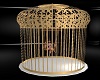 Gold Gilded Swing Cage