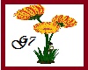 FLOWER G1=36