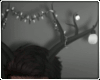 Antlers