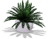white plant pot