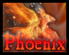 Phoenix rune Choker Brwn