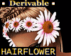 Hair with Daisies