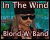 M1 In The Wind Blonde