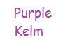 Purple Kelm