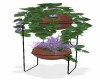Plants w/ Stand 4
