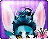 Nishi Bleu Ears