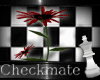 L-Checkmate-Red-Daisy