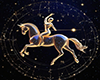 DxT' Sagittarius Zodiac