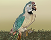 Parrot Animated 2