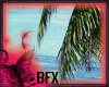BFX Summer Essentials
