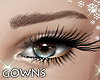 Brown Eyebrows 3
