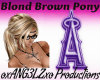Blond Brown Pony