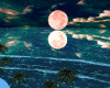 Pink Moon