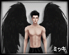 Black Wings