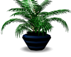 Blue Vased Plant