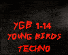 TECHNO-YOUNG BIRDS