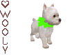 Westie,puppy w bow green