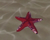 ~Animated Starfish~