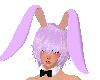 {ID} Lavender Bunny Ears