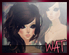 W | Carlotta Umber |
