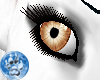 [S]Pltel Coco Eye {F}