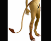 Jungle Cat Tail 1