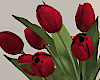 Red Tulips Vase