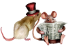 [ML]Cute Mice 