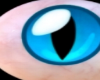 Blue Eye Bat