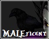 MALEficent Pet Crow