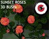 Sunset Rose Bush 3D