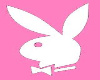 pink playboy top