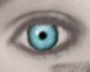 [L] Eyes Blue Bleu