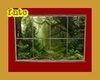 Forest Window 2