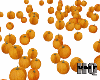 Pumpkin Patch Fall