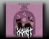Gemini Kitty