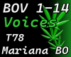 Voices -T78 - Mariana Bo