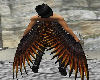 Black Raven Fire Wings