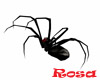 Black REX Spider