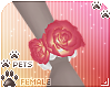 [Pets]Reni|rose bracelet