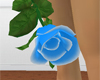 blue rose with white