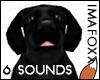 Animated Black Lab Dog