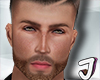 Robert Head HD V1