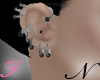 N:Earrings-Blk Silver F