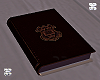 Old KJV 1611 Bible