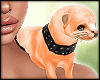 Ferret Animated