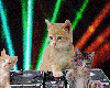 Rave Kitties Animated