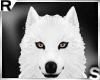 Snowwolf Dog